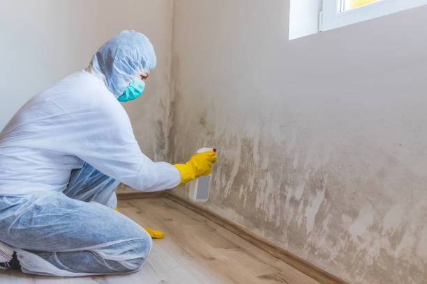 Bathroom Mold Removal assessment in Dover bathroom